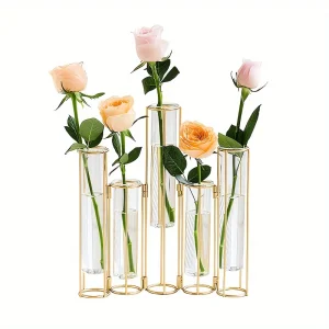 Test Tube Vase with 5 Test Tubes